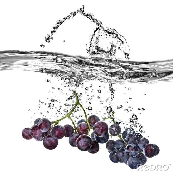 Tableau  Grappes de raisin dans l'eau