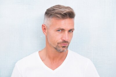 Tableau  Grizzle hair suits him. Deal with gray roots. Man attractive well groomed facial hair. Barber shop concept. Barber and hairdresser. Man mature good looking model. Silver hair shampoo. Anti ageing