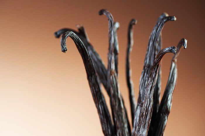 Tableau  Gros plan sur de la vanille