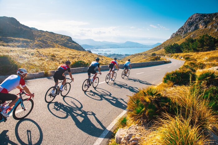 Tableau  Group of cyclist ride together on road bicycles in beautiful nature. Sunset light, sea in background.
