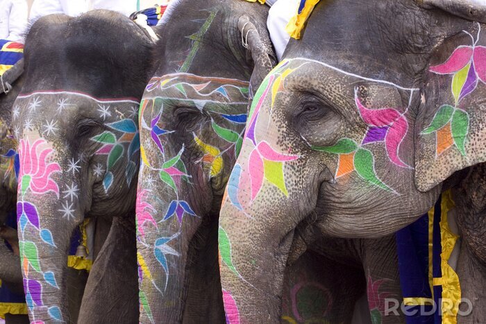 Tableau  groupe d'éléphants