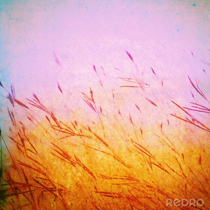 Tableau  Grunge champ d'herbe sur la texture de la toile