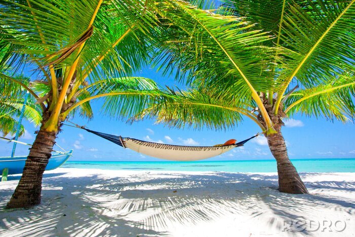 Tableau  Hamac de palmiers et la mer