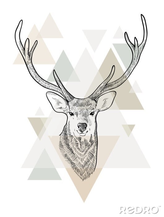 Tableau  Hand drawn head of deer. Scandinavian style
