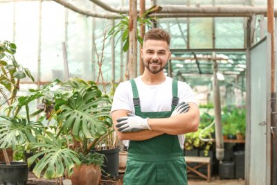 Tableau  Handsome male gardener in greenhouse