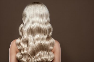 Tableau   Healthy Long blonde Shiny Wavy hair back view. Volume shampoo. Blond Curly permed Hair.  Beauty salon and hair care concept.