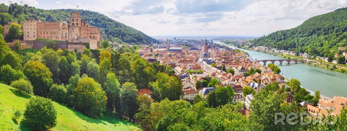 Tableau  heidelberg - city in germany at the neckar from above