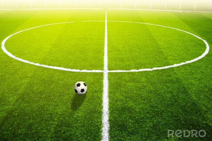 Tableau  Herbe de football et lignes blanches