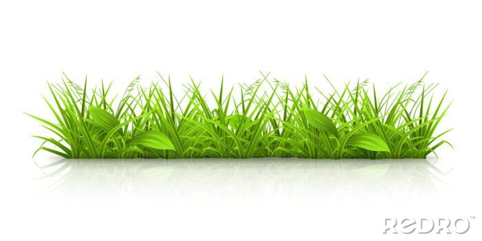 Tableau  Herbe graphique sur fond blanc