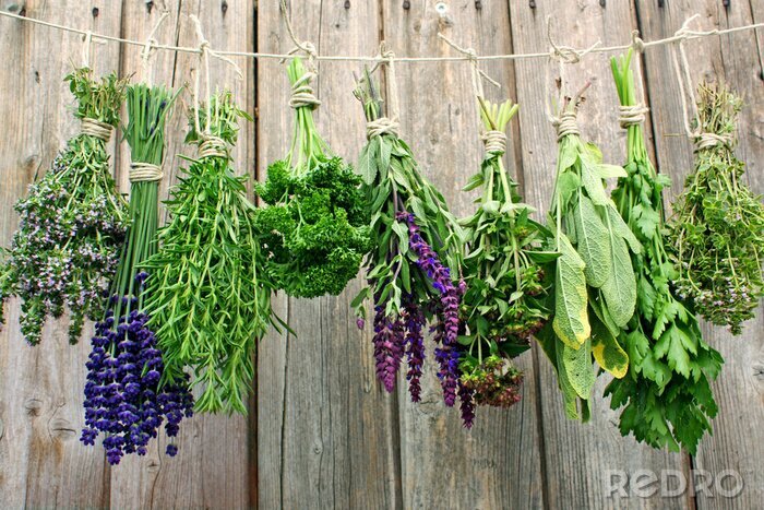 Tableau  Herbes aromatiques à sécher