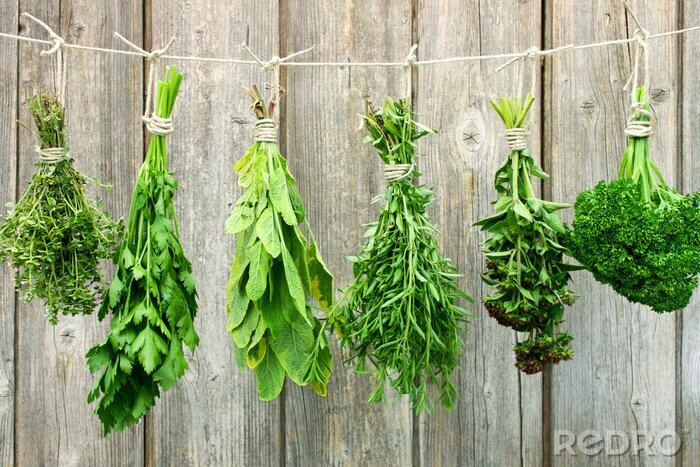 Tableau  Herbes aromatiques réalistes avec des planches en arrière-plan