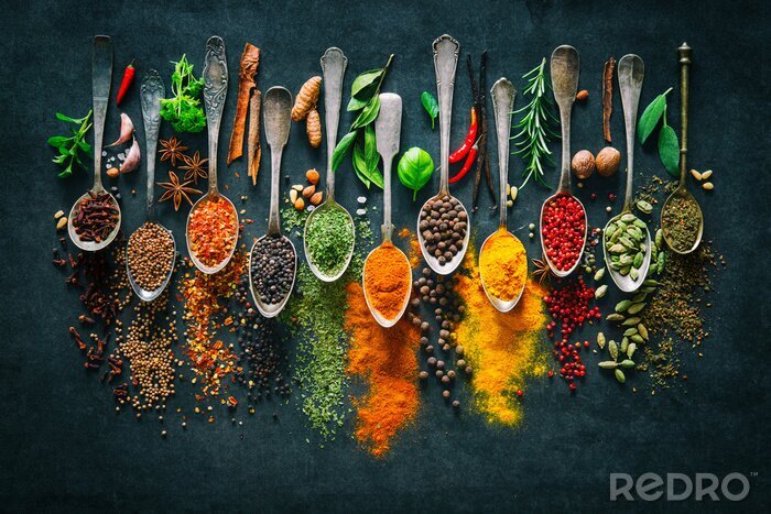 Tableau  Herbes et épices pour cuisiner sur fond sombre