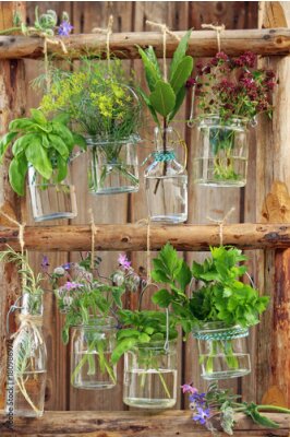 Tableau  Herbes fraîches dans des vases sur fond en bois