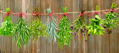 Herbes naturelles sur planches rustiques