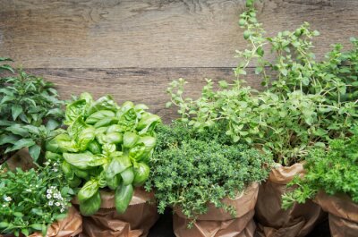 Tableau  Herbes, plante, pots, copie, espace