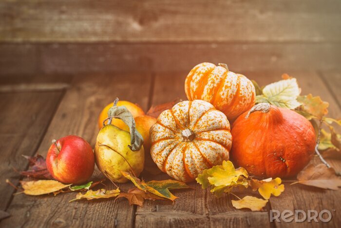Tableau  Herbst - Hintergrund mit Kürbis, Apfel und Co - Retro Look