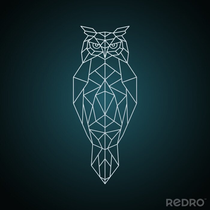 Tableau  Hibou géométrique