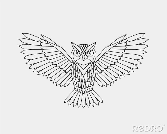 Tableau  Hibou géométrique en vol