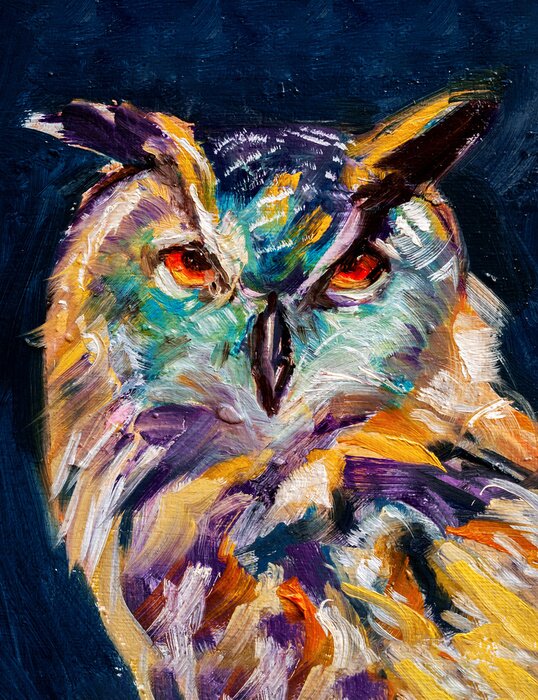 Tableau  Hibou peint coloré