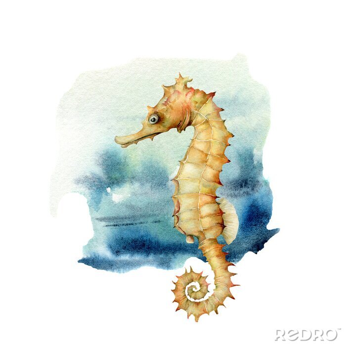 Tableau  Hippocampe aquarelle