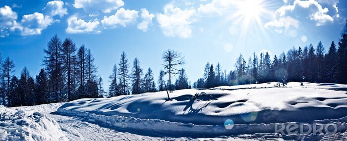 Tableau  hiver mystique 1