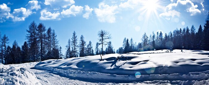 Tableau  hiver mystique 1