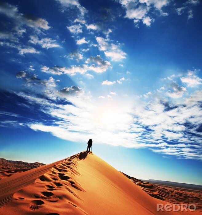 Tableau  Homme dans le désert