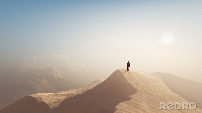 Tableau  homme dans un désert