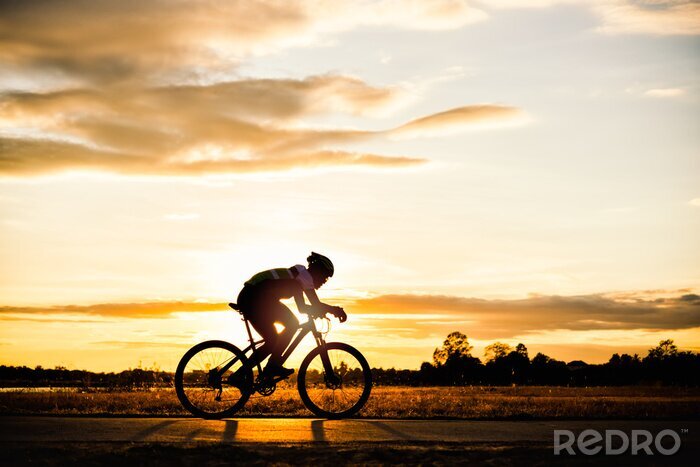 Tableau  Homme silhouette cyclisme au coucher du soleil