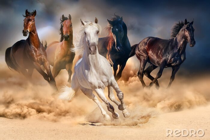 Tableau  Horse herd run in desert sand storm against dramatic sky