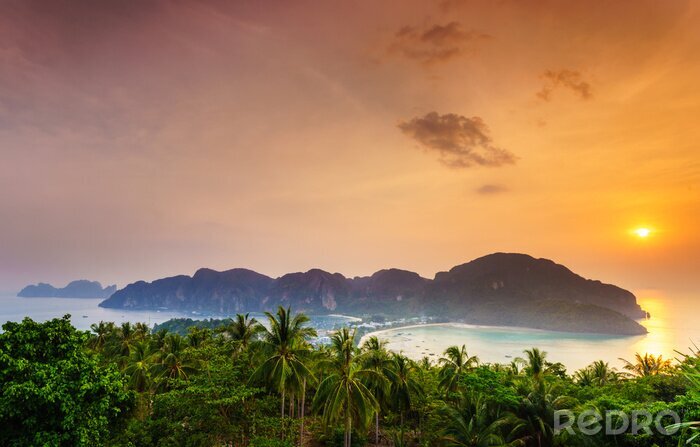 Tableau  Île de Phi Phi, Krabi, sud de la Thaïlande