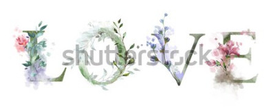 Tableau  illustration aquarelle avec fleurs sauvages, herbes - amour. Impression cool sur le t-shirt. Ancien Caractères