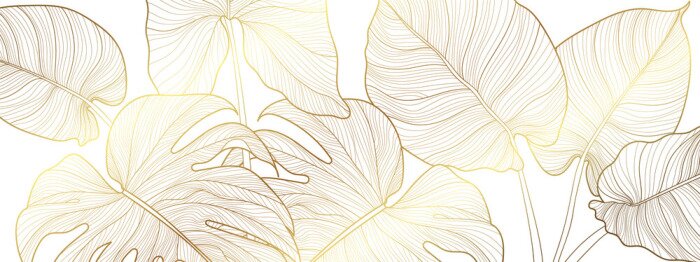 Tableau  Illustration avec des feuilles de monstera
