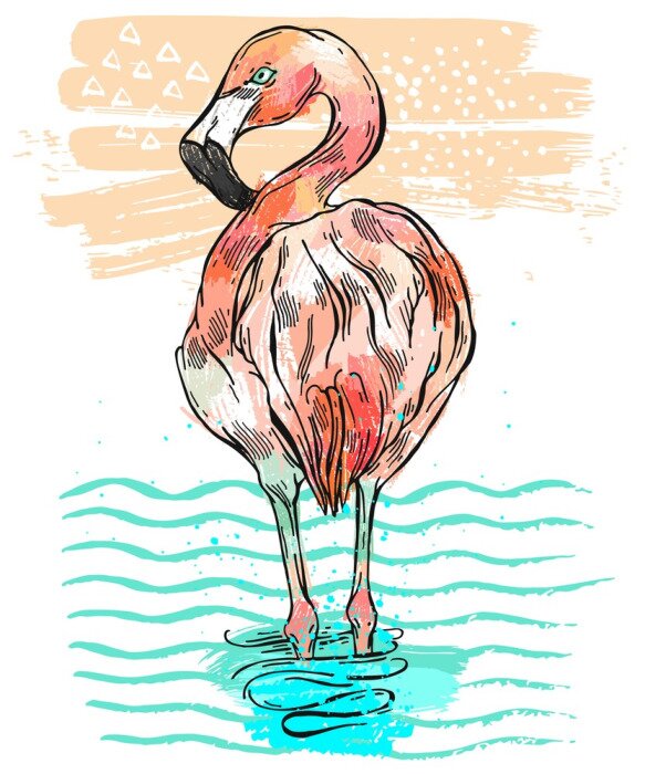 Tableau  Illustration de flamant rose