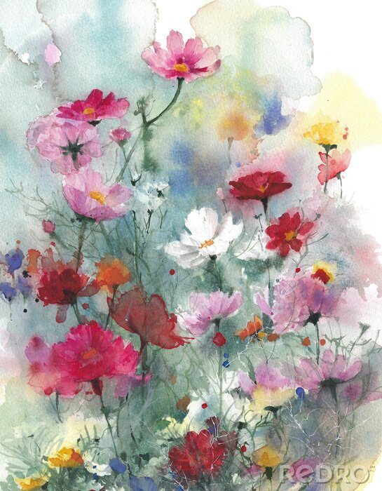 Tableau  Illustration de peinture aquarelle fleurs colorées été fleurs sauvages isolé sur fond blanc