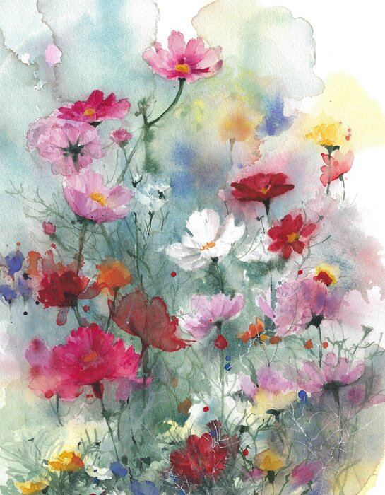 Tableau  Illustration de peinture aquarelle fleurs colorées été fleurs sauvages isolé sur fond blanc