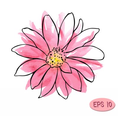 Tableau  illustration de vecteur aquarelle fleur, fleur rose comme marguerite ou chrysanthème avec contour de pli