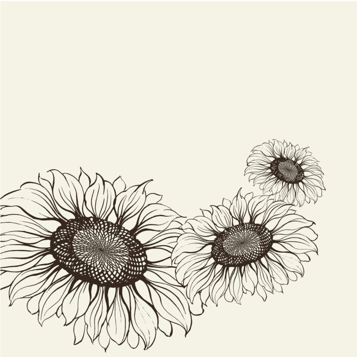 Tableau  Illustration en noir et blanc avec un tournesol