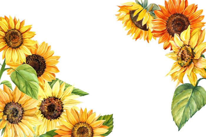 Tableau  Illustration peinte avec des tournesols
