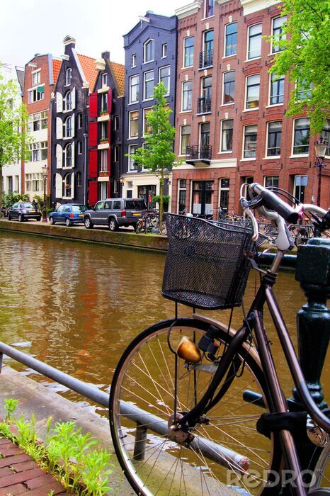 Tableau  Immeubles et vélos au bord du canal