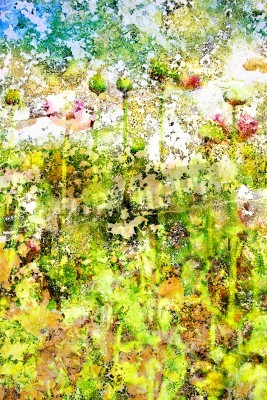 Tableau  Impressionnisme champ de fleurs