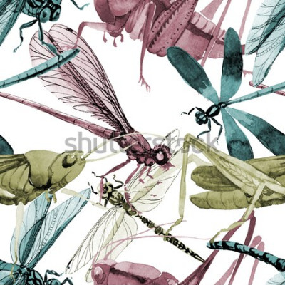 Tableau  Insectes volants colorés