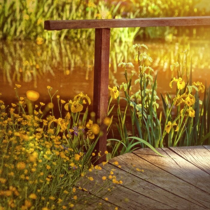 Tableau  Jardin d'eau avec le vieux pont de bois