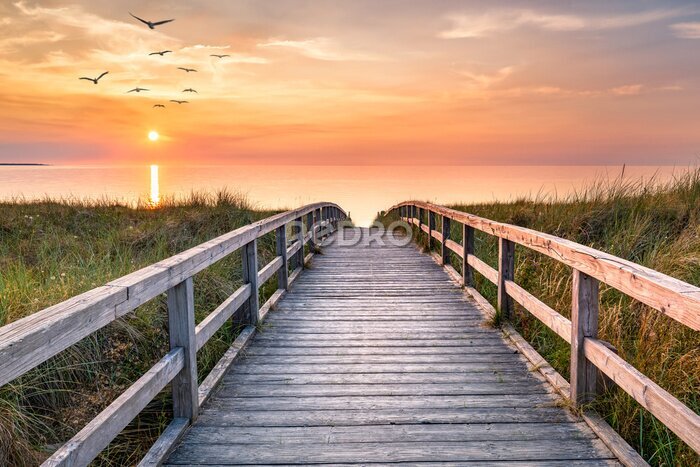Tableau  Jetée vers la mer au lever du soleil