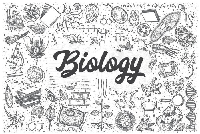 Tableau  Jeu de doodle vecteur biologie dessiné à la main.