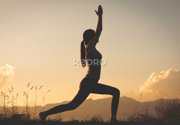 Tableau  Jeune femme dans la nature faisant du yoga