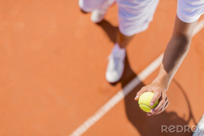 Tableau  Jeune homme jouant au tennis