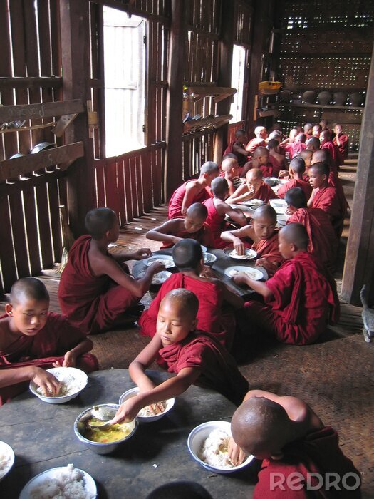 Tableau  jeune moine de manger ensemble dans leur temple, le Myanmar