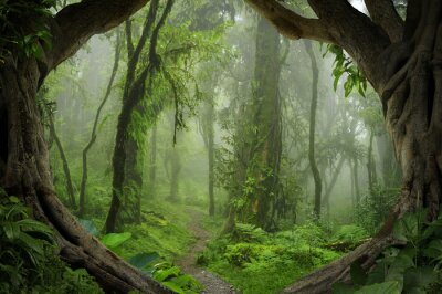 Jungle 3D arbres