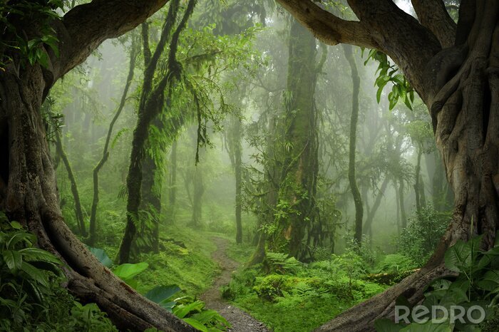 Tableau  Jungle 3D arbres